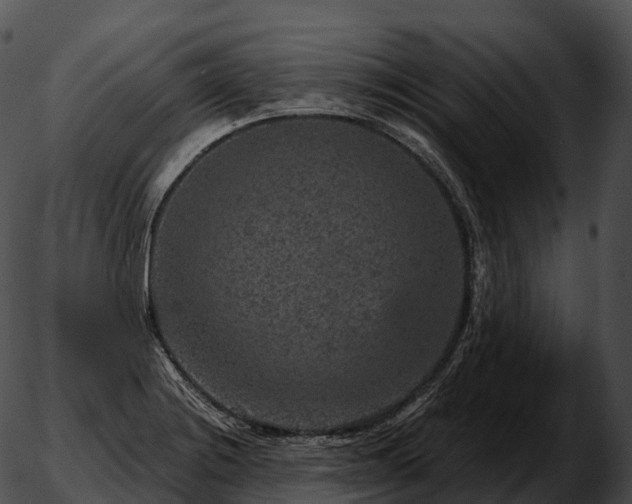 X0000051891228200507020047