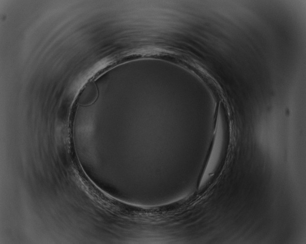 X0000051891229200507020047