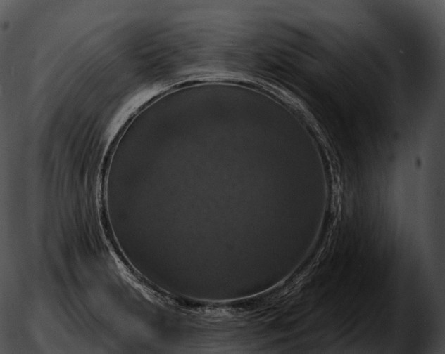 X0000051891231200507020048