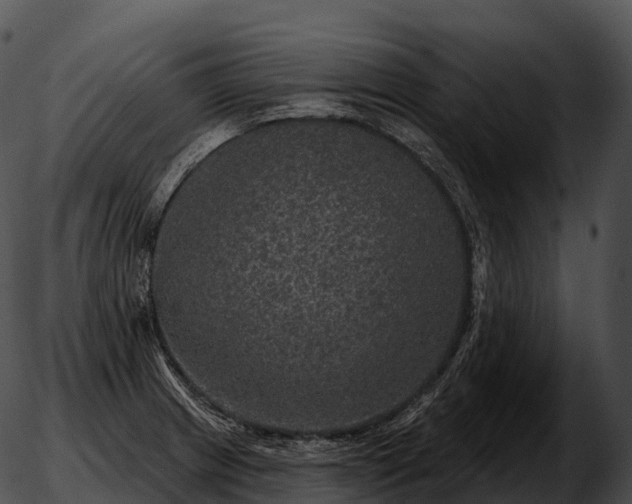 X0000051891233200507020048