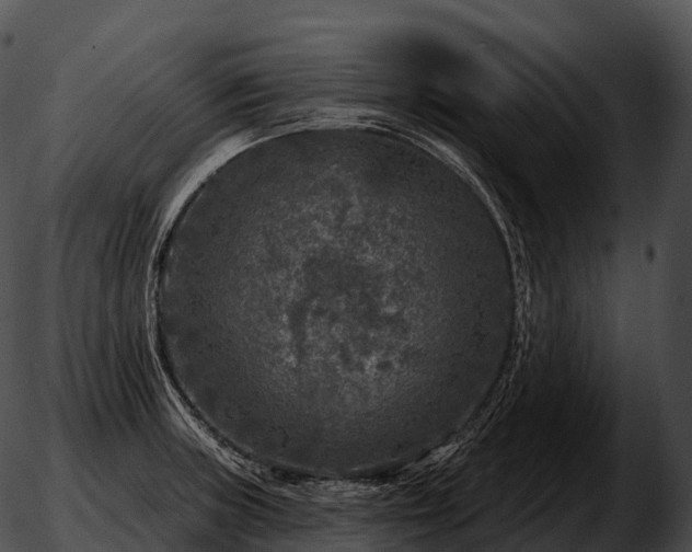 X0000051891235200507020048