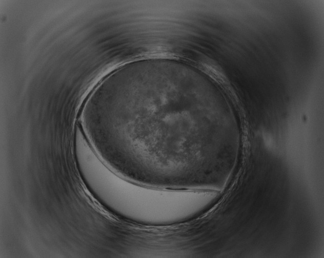 X0000051891236200507020048