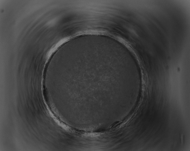 X0000051891237200507020048