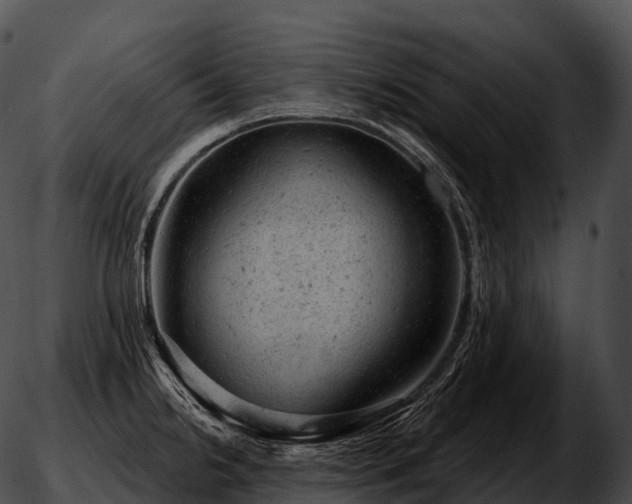 X0000051891238200507020048