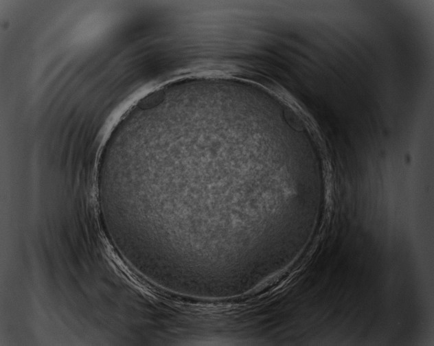 X0000051891240200507020048