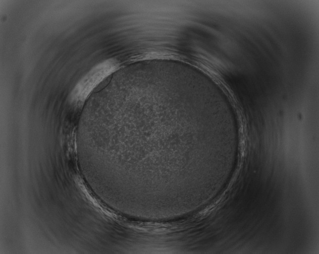 X0000051891241200507020048