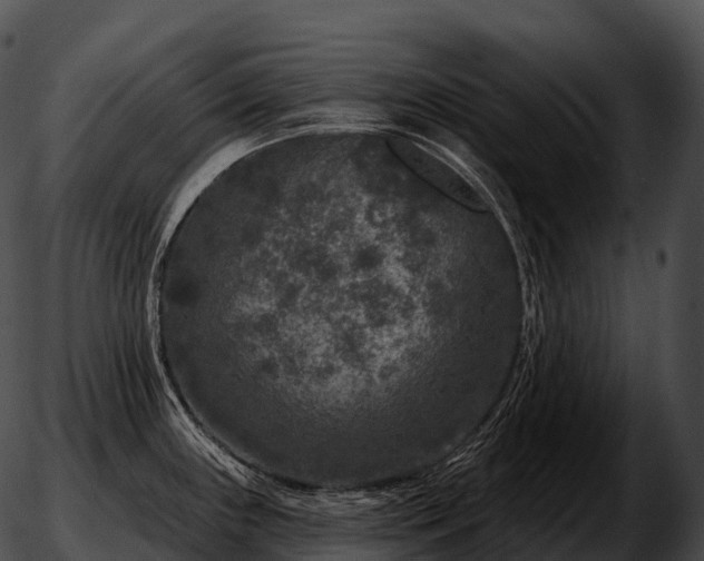 X0000051891243200507020048