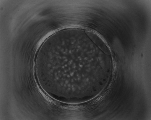 X0000051891245200507020048