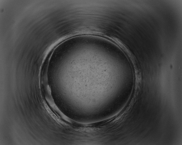 X0000051891246200507020048