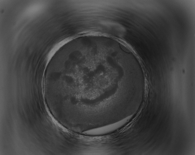 X0000051891247200507020048