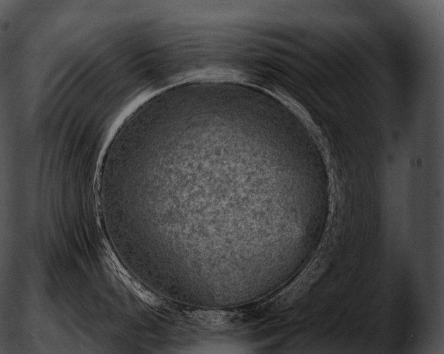 X0000051891248200507020048