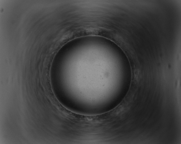 X0000051891249200507020047