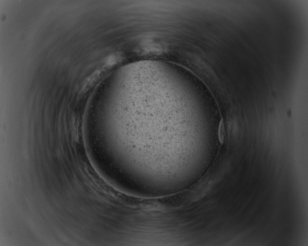 X0000051891250200507020047