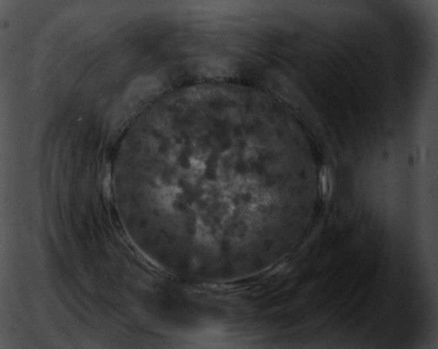 X0000051891251200507020047