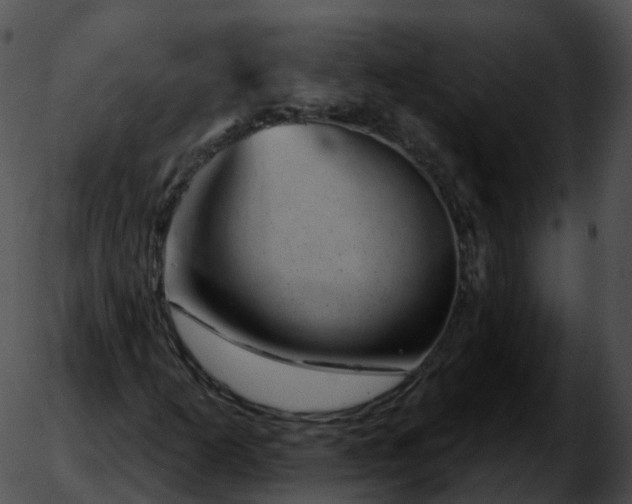 X0000051891253200507020047