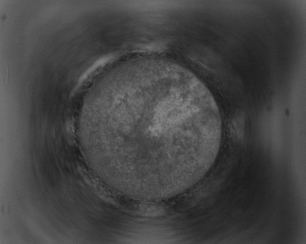 X0000051891254200507020047