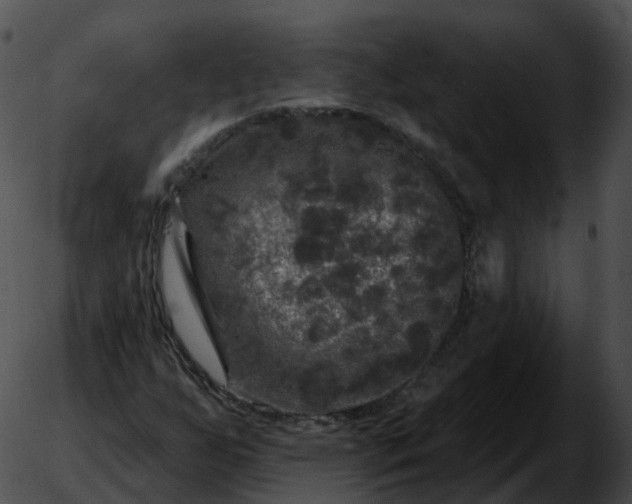 X0000051891255200507020047