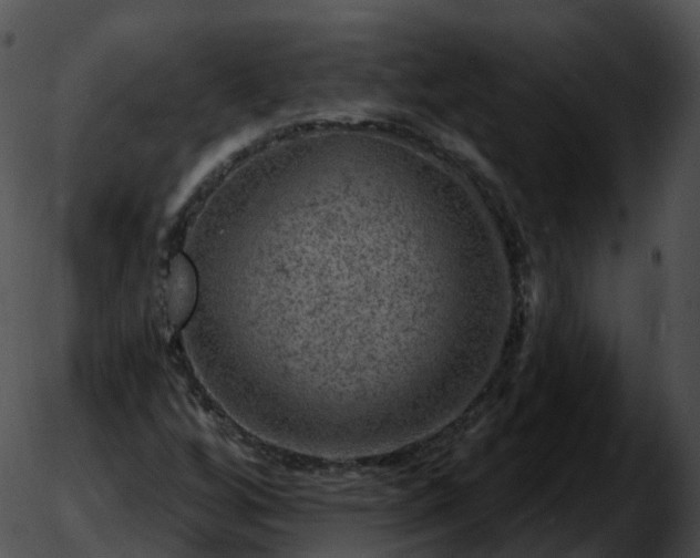 X0000051891256200507020047