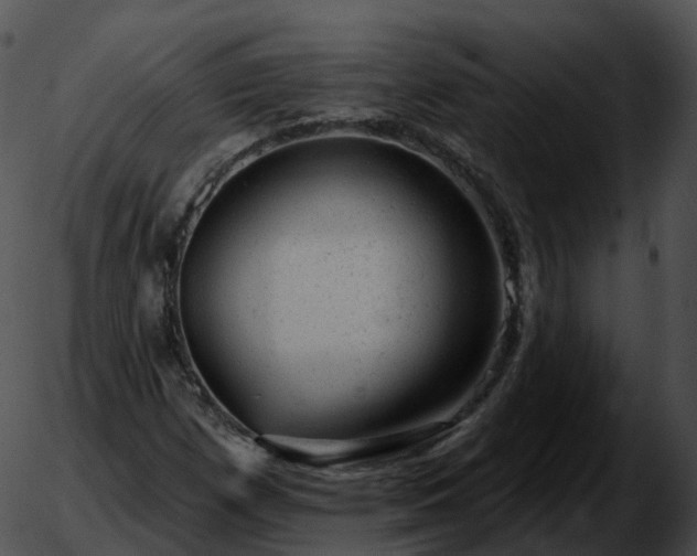 X0000051891257200507020047