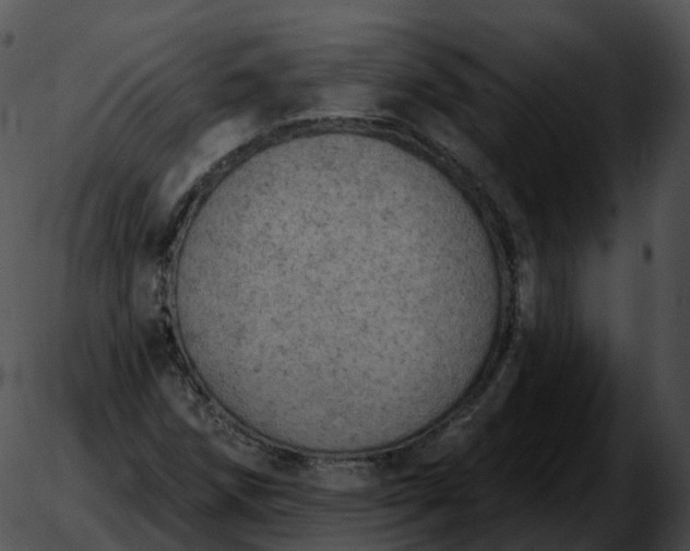 X0000051891258200507020047