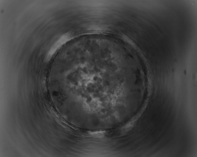 X0000051891259200507020047