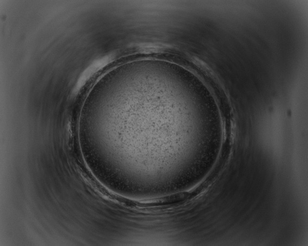 X0000051891261200507020047