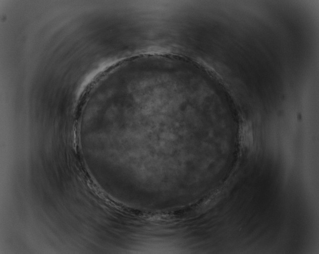 X0000051891262200507020047