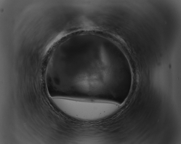 X0000051891263200507020047