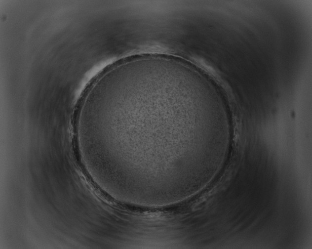 X0000051891264200507020047