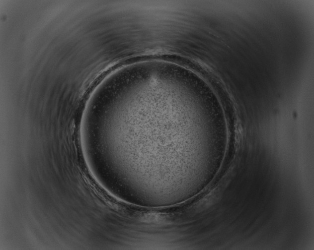 X0000051891265200507020047