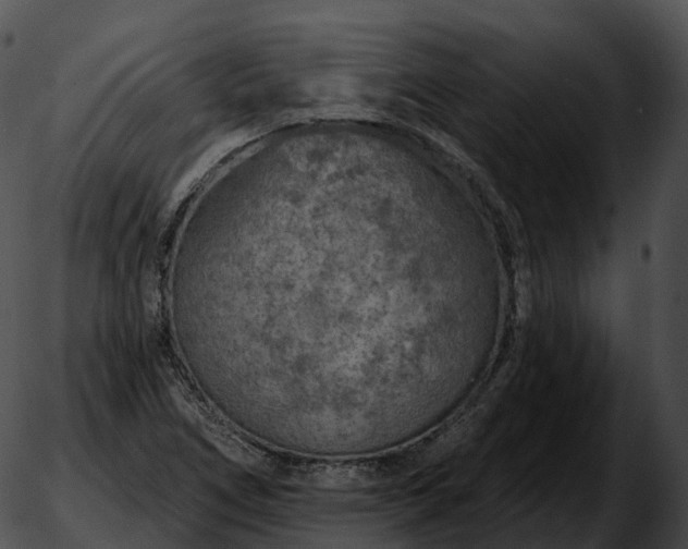 X0000051891266200507020047