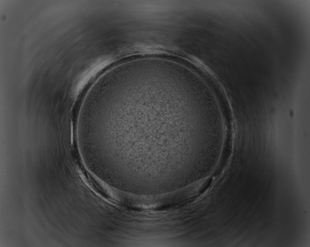 X0000051891269200507020047