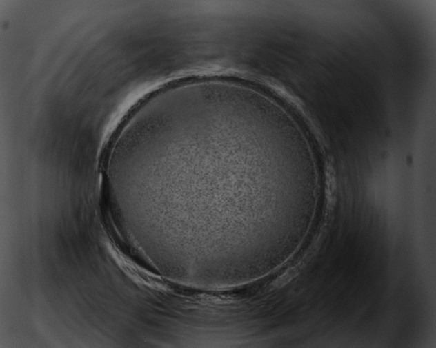 X0000051891270200507020047