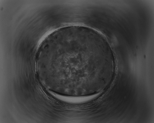 X0000051891271200507020047