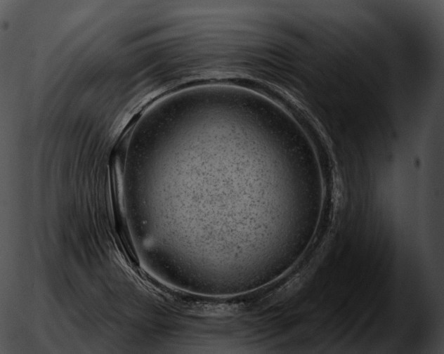 X0000051891273200507020047