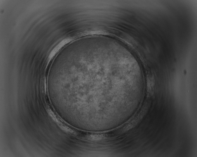 X0000051891274200507020047