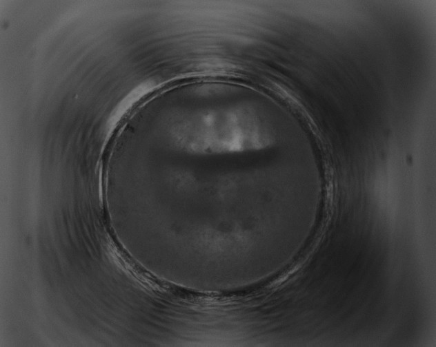 X0000051891275200507020047