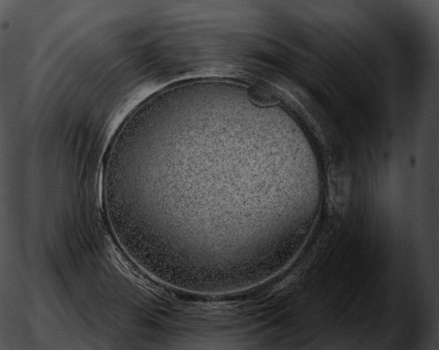 X0000051891276200507020047