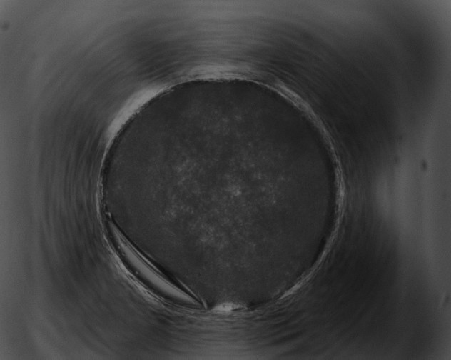 X0000051891277200507020047