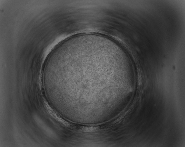 X0000051891278200507020047