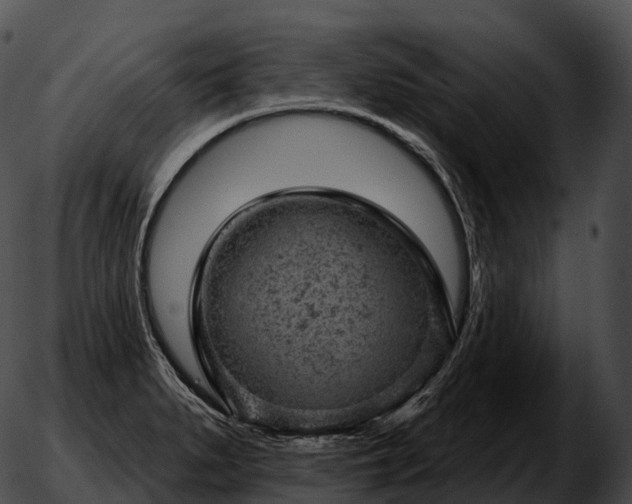 X0000051891279200507020047