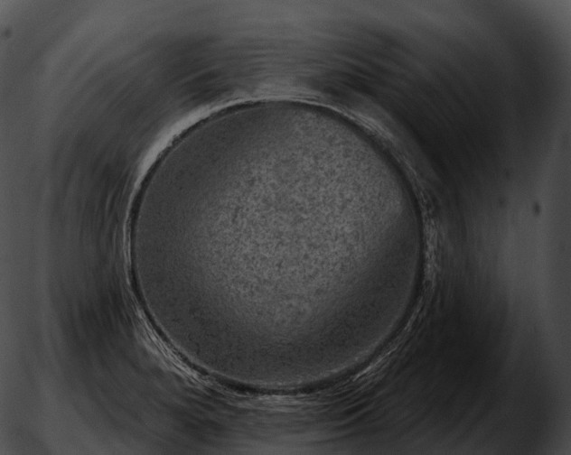 X0000051891280200507020047