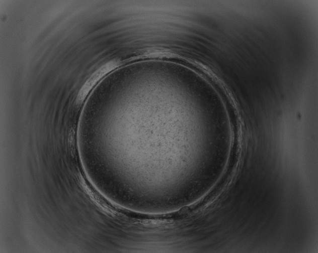 X0000051891281200507020047