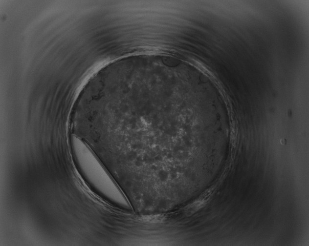 X0000051891283200507020046