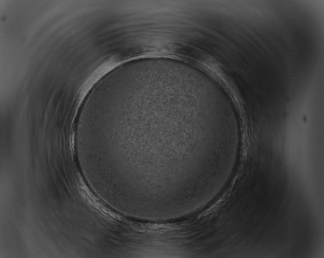 X0000051891284200507020046