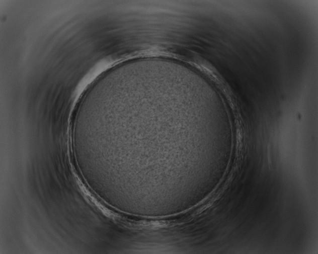 X0000051891286200507020046