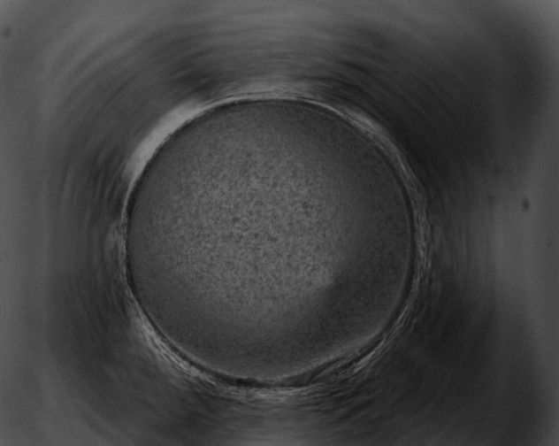 X0000051891288200507020046