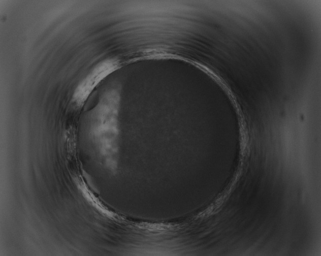 X0000051891289200507020046