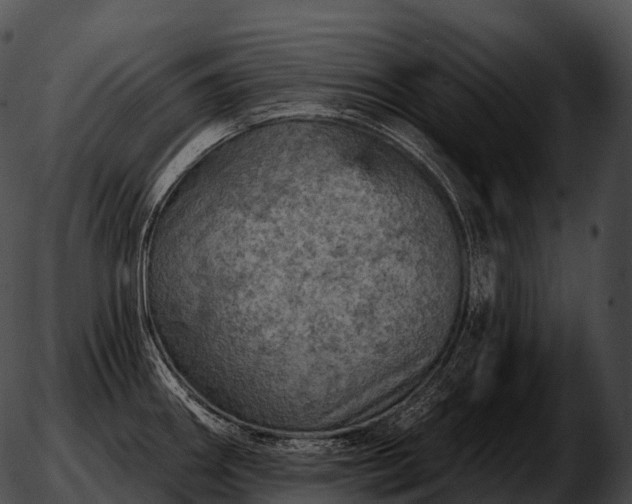 X0000051891290200507020046