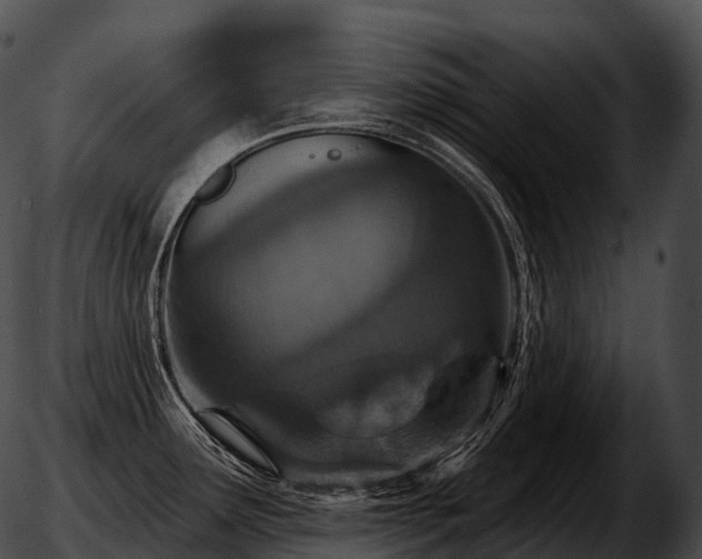 X0000051891291200507020046